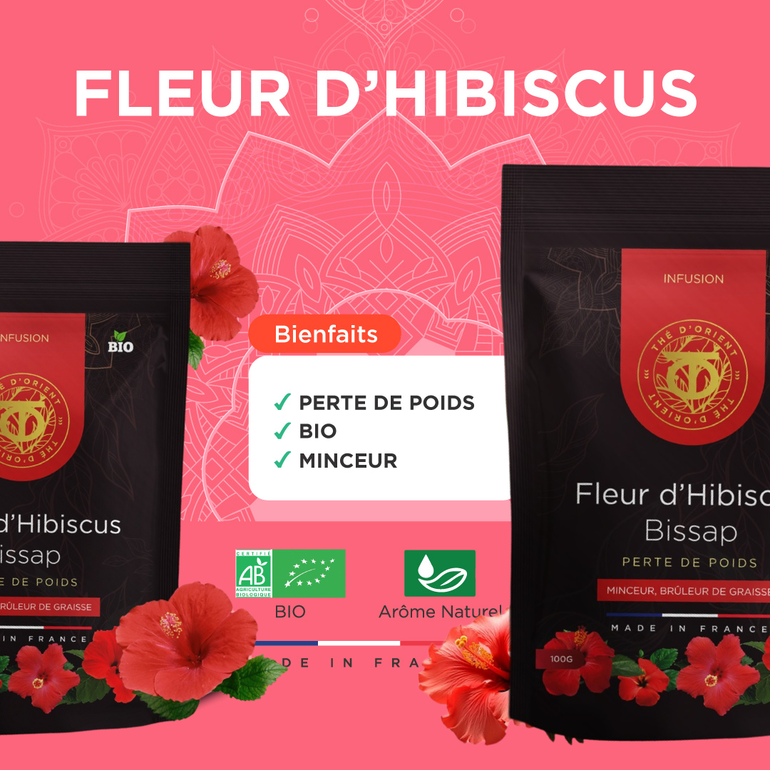 Fleur d'Hibiscus