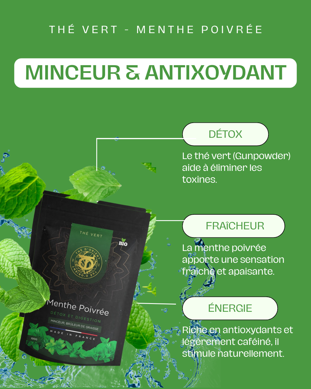 Menthe poivrée