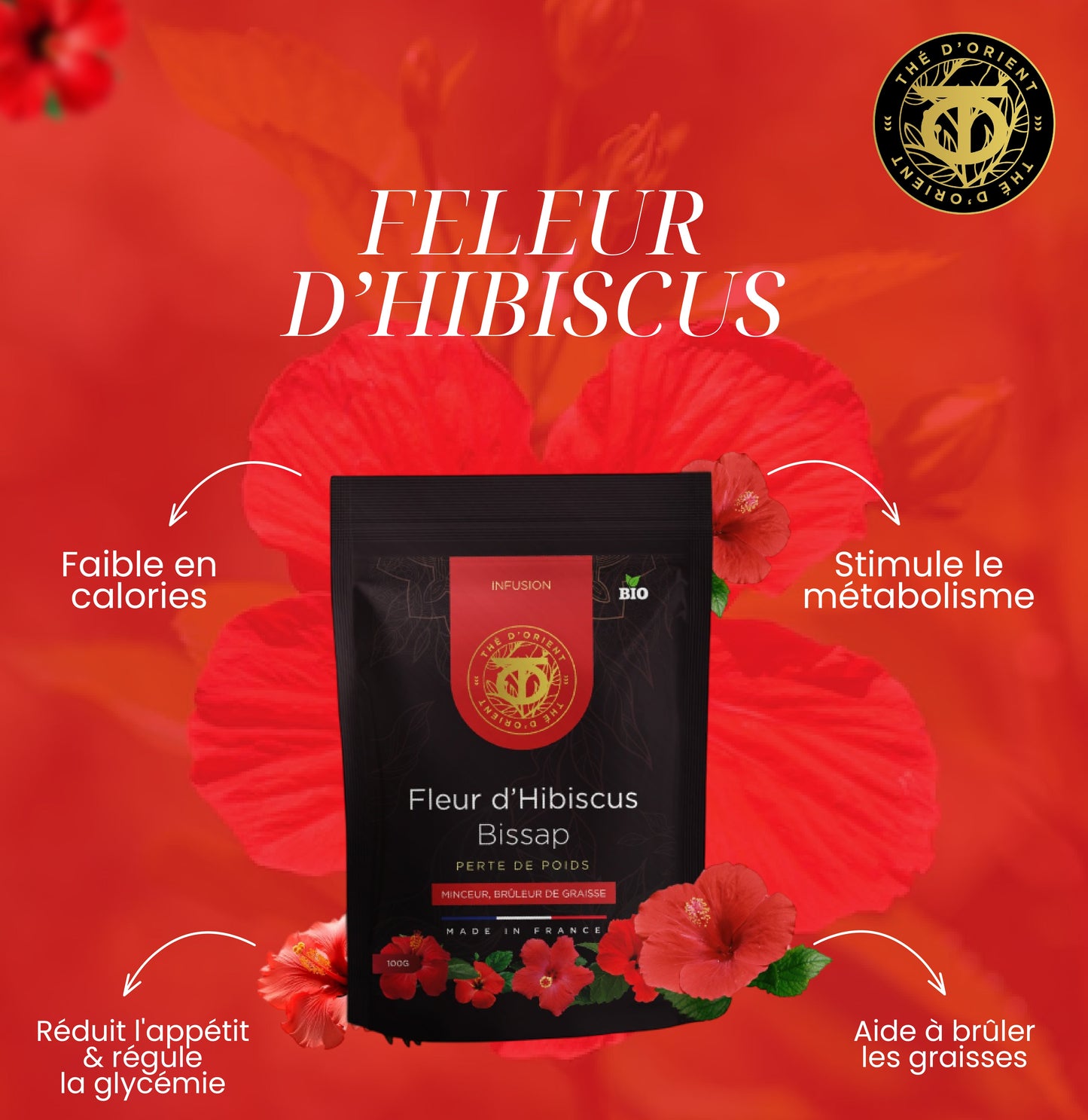 Fleur d'Hibiscus