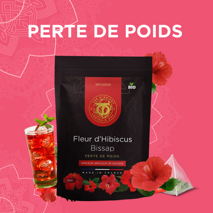 Fleur d'Hibiscus